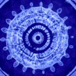 Online Vocal Sound to Selfhelp 9 x Mondays 1.9-27.10